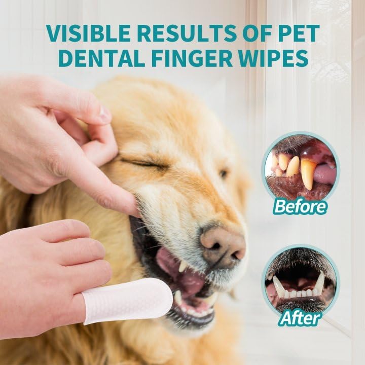Pet Dental Care Wipes
